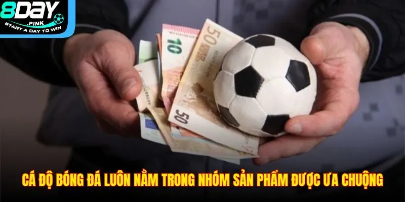 Cá Độ Bóng Đá – Trò Chơi Giải Trí Được Ưa Chuộng Tại 8DAY 2 Cá độ bóng đá luôn nằm trong nhóm sản phẩm được ưa chuộng