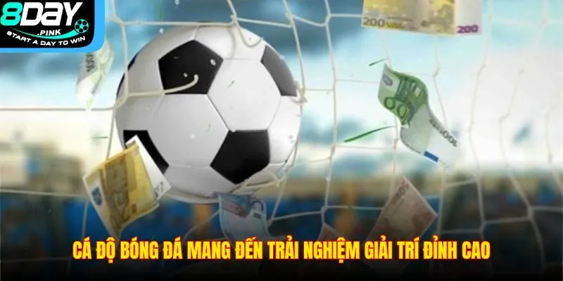 Cá Độ Bóng Đá – Trò Chơi Giải Trí Được Ưa Chuộng Tại 8DAY 4 Cá độ bóng đá mang đến trải nghiệm giải trí đỉnh cao