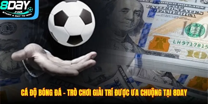 Cá Độ Bóng Đá – Trò Chơi Giải Trí Được Ưa Chuộng Tại 8DAY