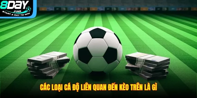 Kèo Trên Là Gì? Cách Nhận Diện Đội Bóng Cửa Trên Tại 8DAY 3 Các loại cá độ liên quan đến kèo trên là gì