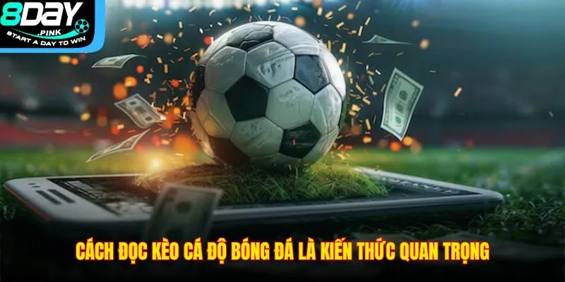 Cách Đọc Kèo Cá Độ Bóng Đá Chi Tiết Dễ Hiểu Nhất 2025 2 Cách đọc kèo cá độ bóng đá là kiến thức quan trọng