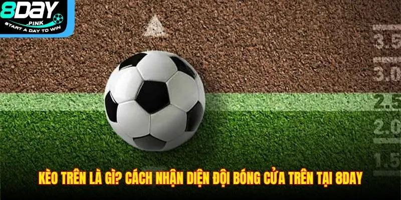 Kèo Trên Là Gì? Cách Nhận Diện Đội Bóng Cửa Trên Tại 8DAY