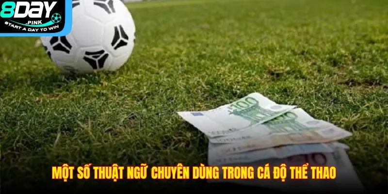 Kèo Trên Là Gì? Cách Nhận Diện Đội Bóng Cửa Trên Tại 8DAY 4 Một số thuật ngữ chuyên dùng trong cá độ thể thao